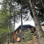 Leonard House In The Woods Alpstuga