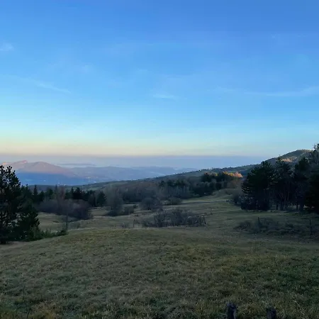 Leonard House In The Wood