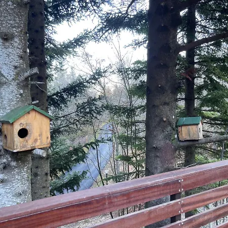 Leonard House In The Wood Chalet Pennabilli