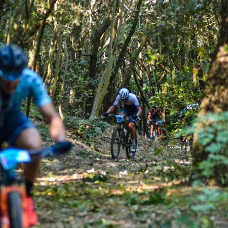 Chalet Leonard House In The Wood Pennabilli