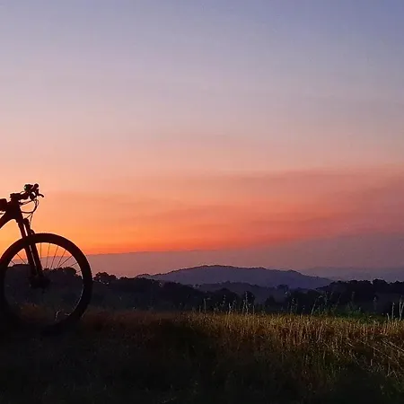 Leonard House In The Wood