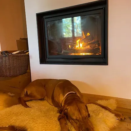 Leonard House In The Wood Chalet *