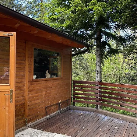 Leonard House In The Woods Pennabilli