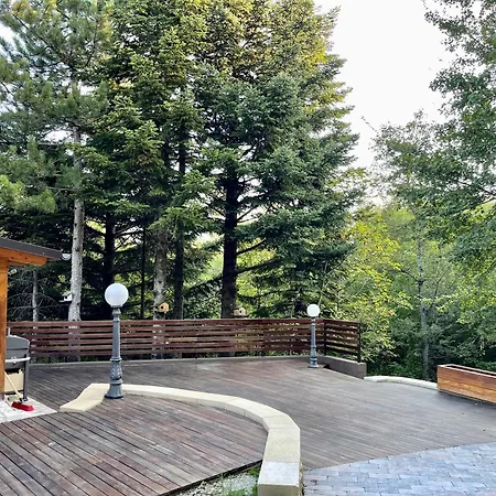 Leonard House In The Woods Pennabilli