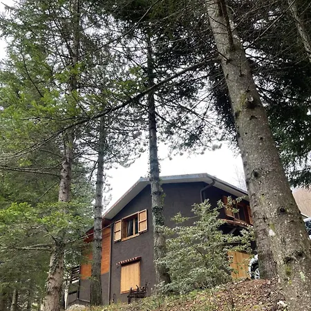 Leonard House In The Woods Dağ evi
