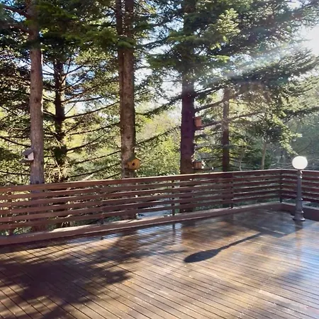 Leonard House In The Woods Horská chata Pennabilli