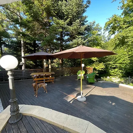 Leonard House In The Woods Pennabilli