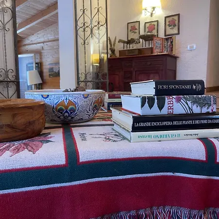 Leonard House In The Woods Dağ evi Pennabilli