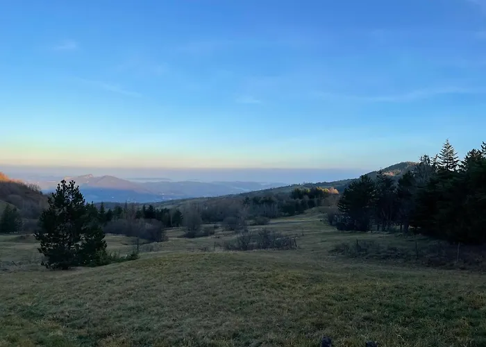 Leonard House In The Wood