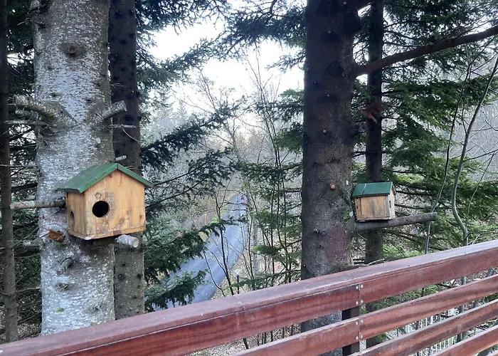 Leonard House In The Wood شاليه بينابيلي