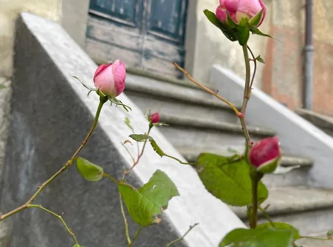 Leonard House In The Wood شاليه