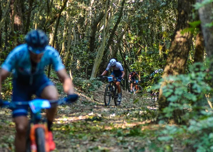 샬레 Leonard House In The Wood 페나빌리