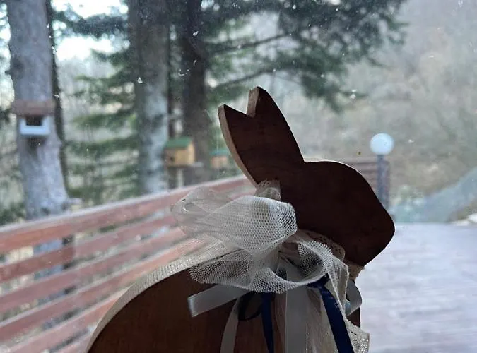 샬레 Leonard House In The Wood *