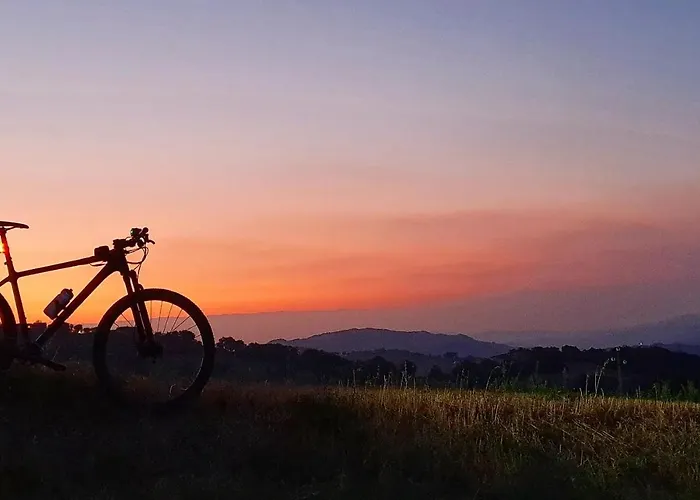 Leonard House In The Wood