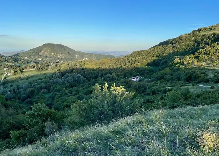 شاليه Leonard House In The Wood بينابيلي