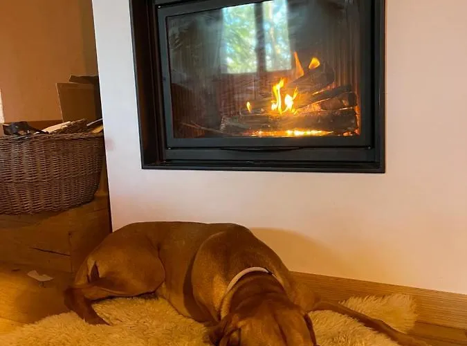 Leonard House In The Wood شاليه *